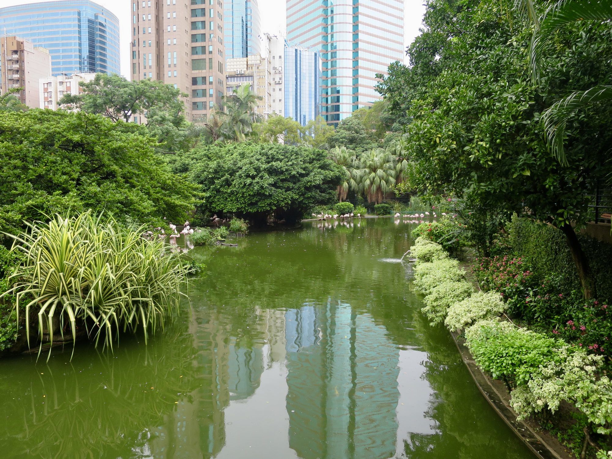 Wyles Walkabout | China