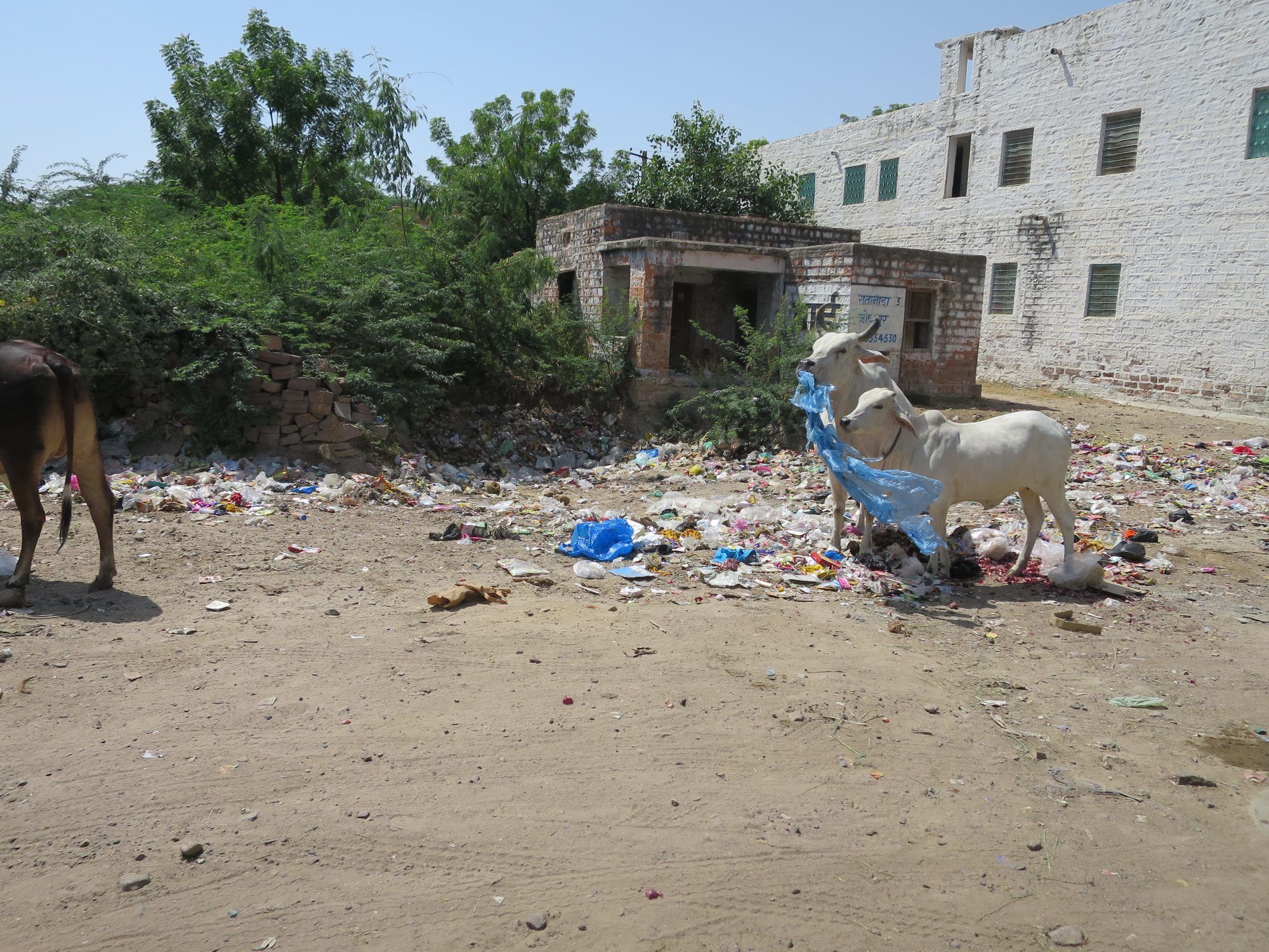 Wyles Walkabout | India