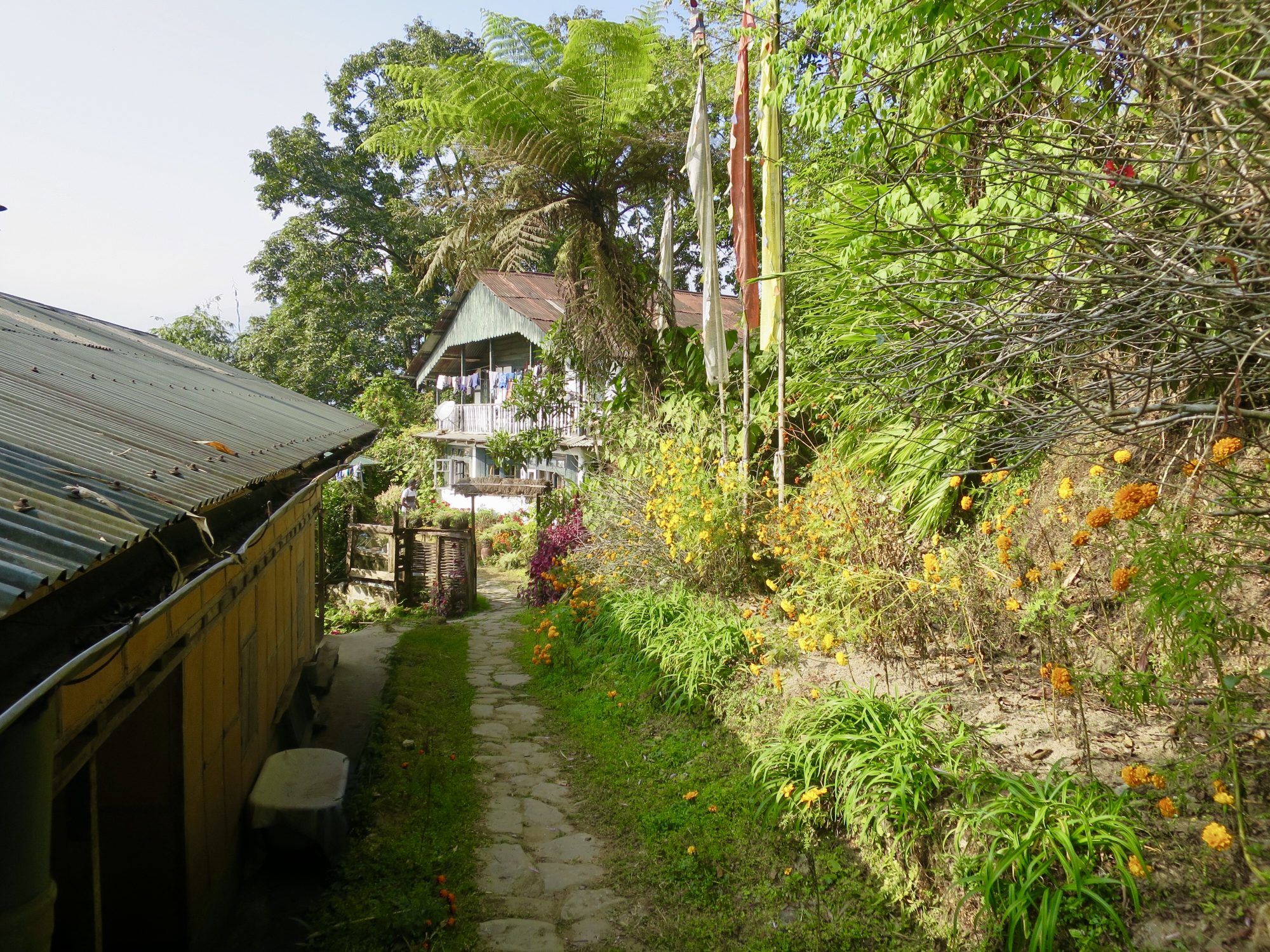 Wyles Walkabout | India