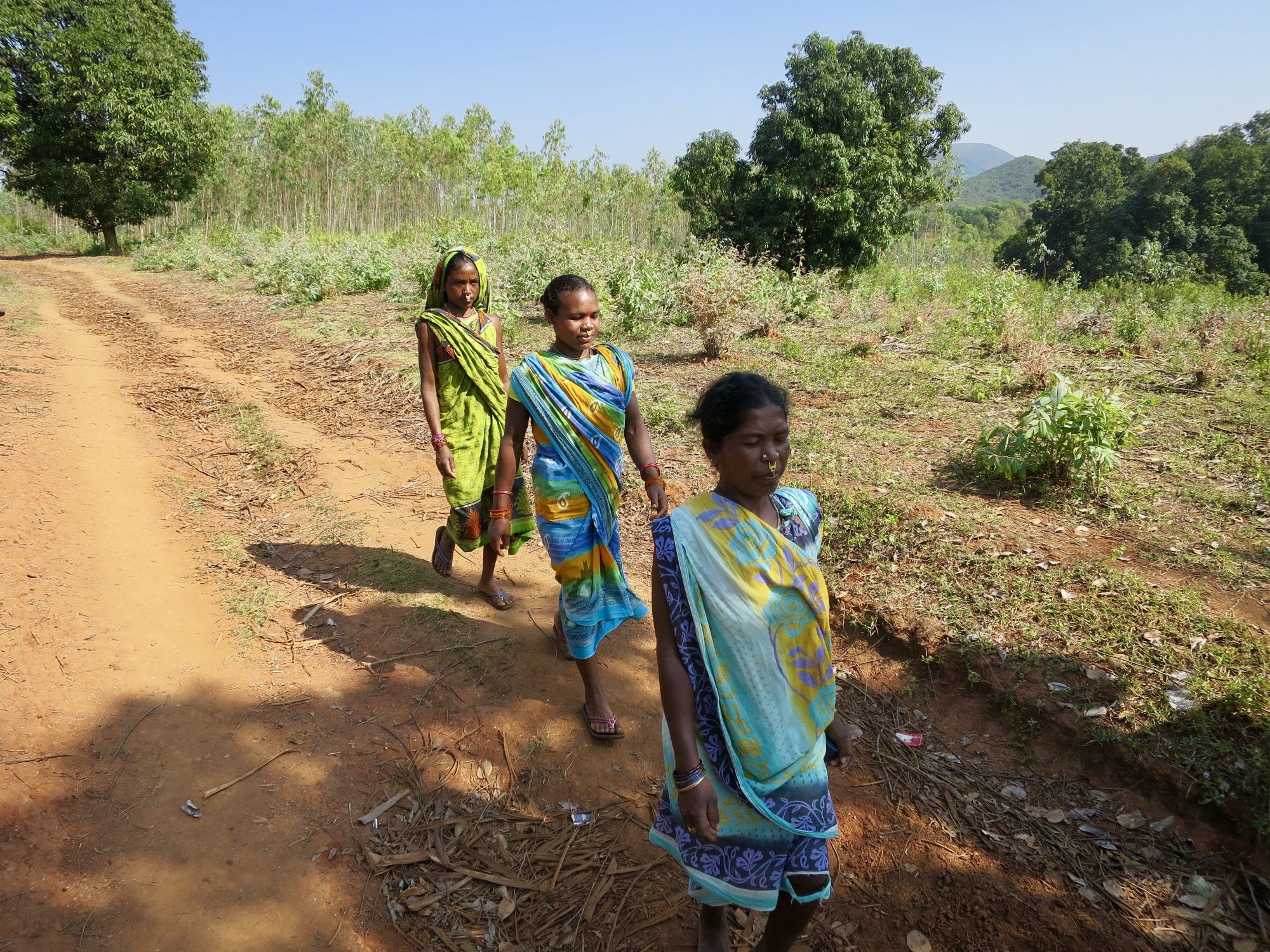 Wyles Walkabout | India Wyles Walkabout | India